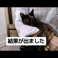 画像571