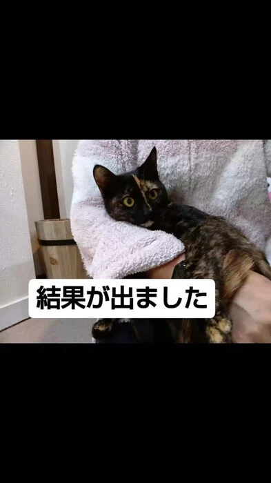 画像571