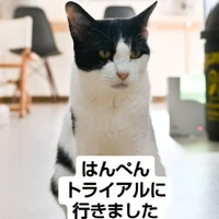 画像573