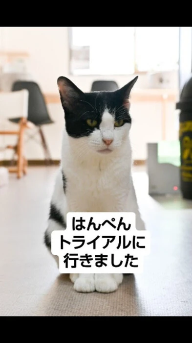 画像573