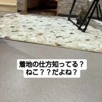画像575