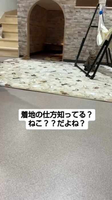 画像575