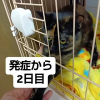 画像577