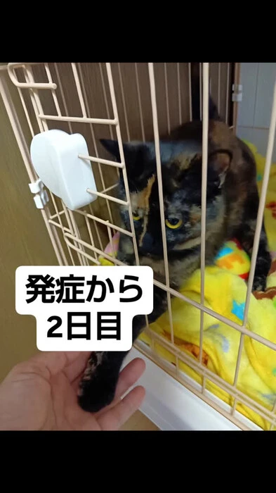 画像577