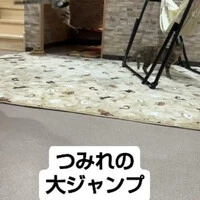 画像579