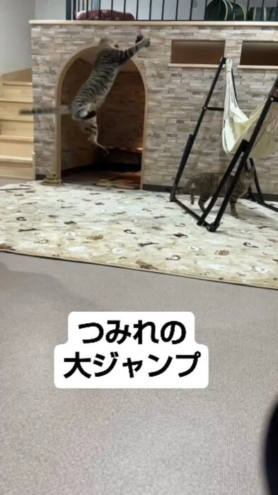 画像579