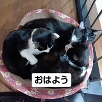 画像581