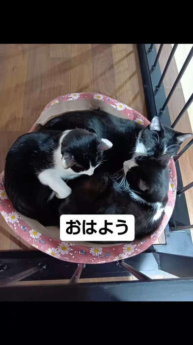 画像581
