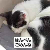 画像583