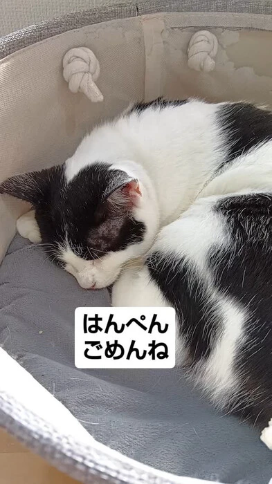 画像583
