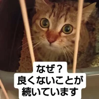 画像585