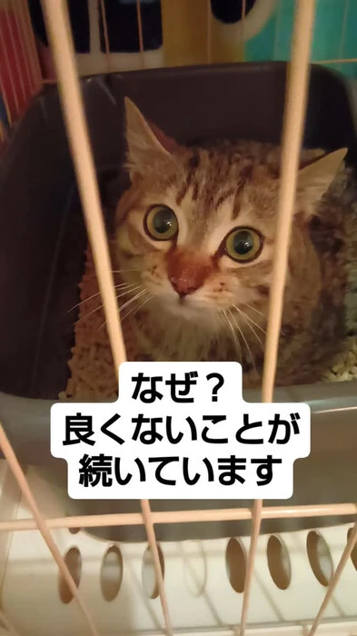 画像585