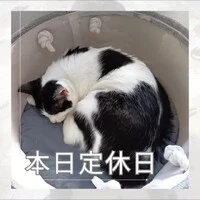 画像587