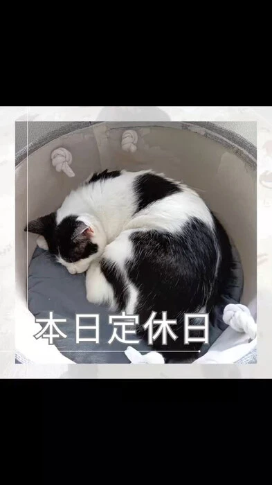 画像587