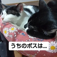 画像589
