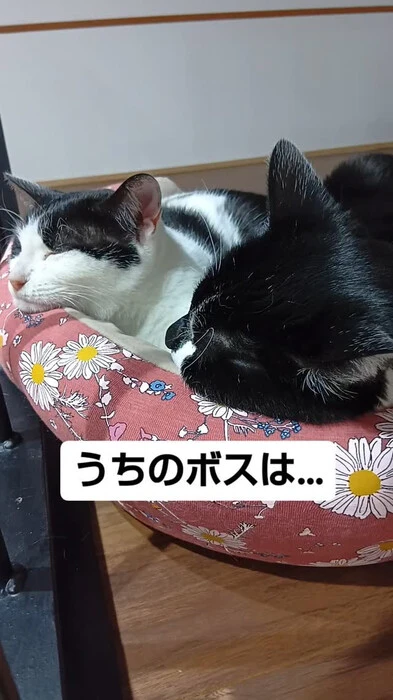 画像589