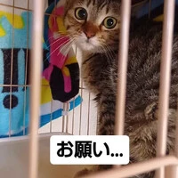 画像591