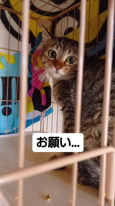 画像591