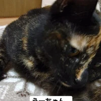 画像593