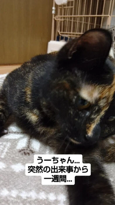 画像593