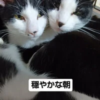 画像595