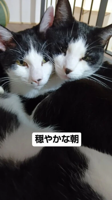 画像595