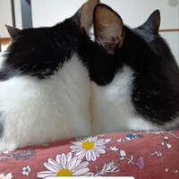画像597