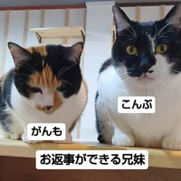 画像599