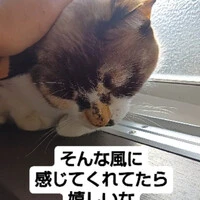 画像603