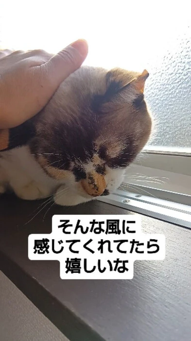 画像603