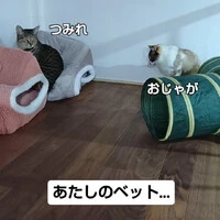 画像605