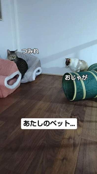 画像605