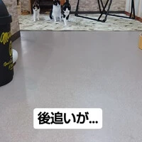 画像611