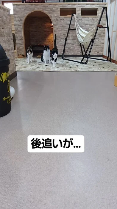 画像611