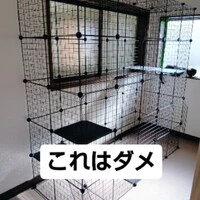 画像615