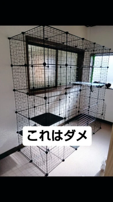 画像615