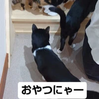 画像619
