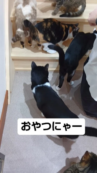 画像619