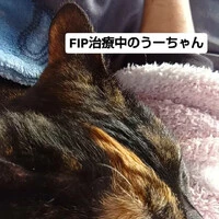 画像621