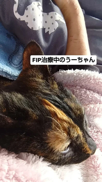 画像621