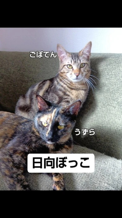 画像623