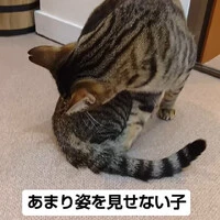 画像625