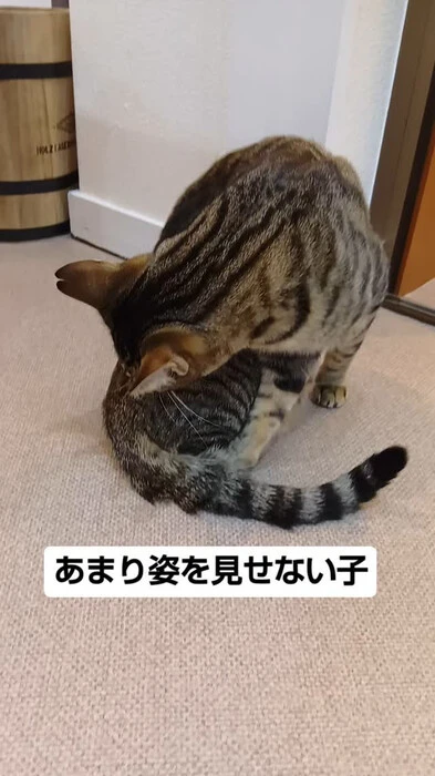画像625