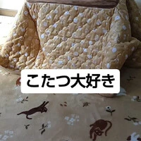 画像627