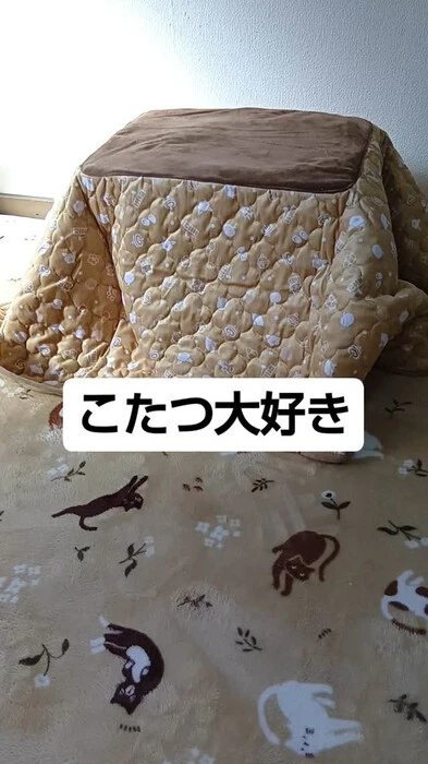 画像627