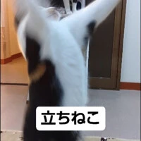 画像629