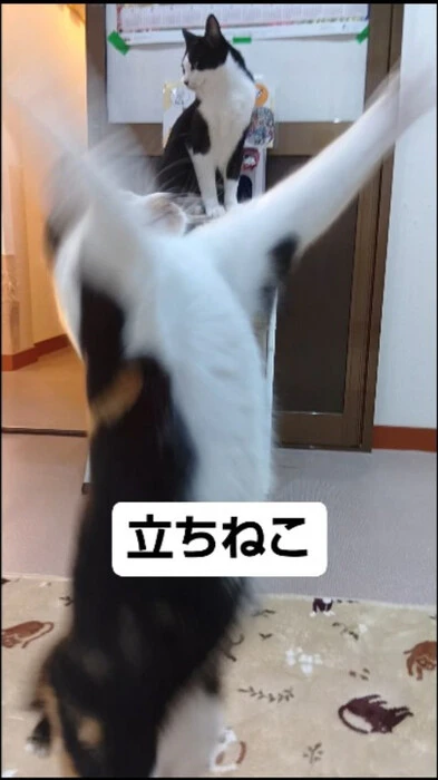 画像629
