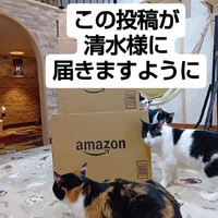 画像631