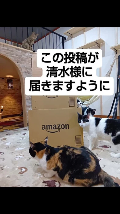 画像631