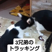 画像633